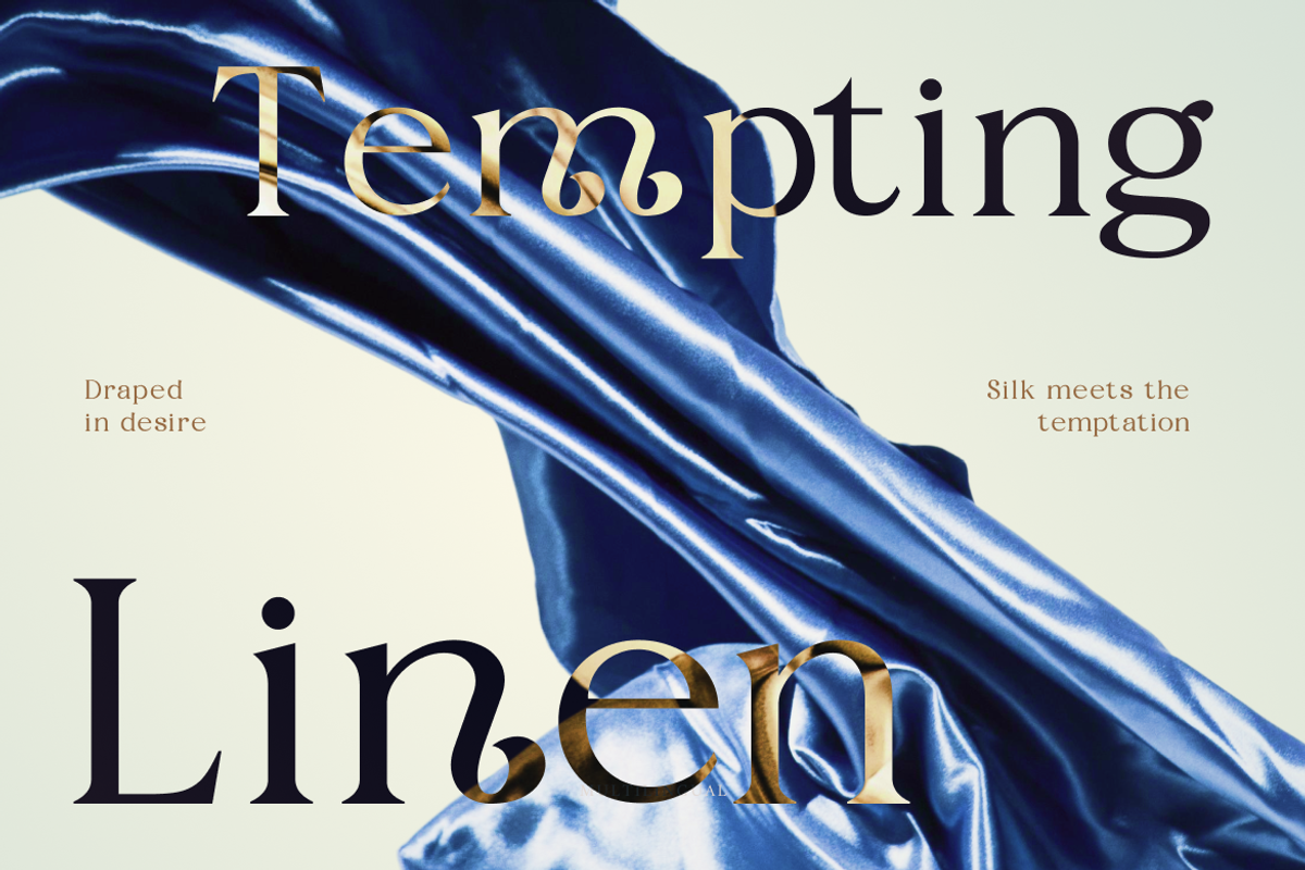 Fyorin Elegance Serif Font, a Serif Font by Rasio Studio (Photo 6 of 11)