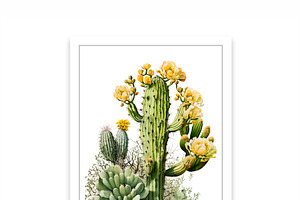 Saguaro Cactus Art, 2 Cactus Bundle