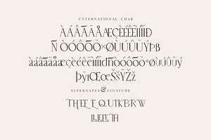 Belle Quest Stylish Serif