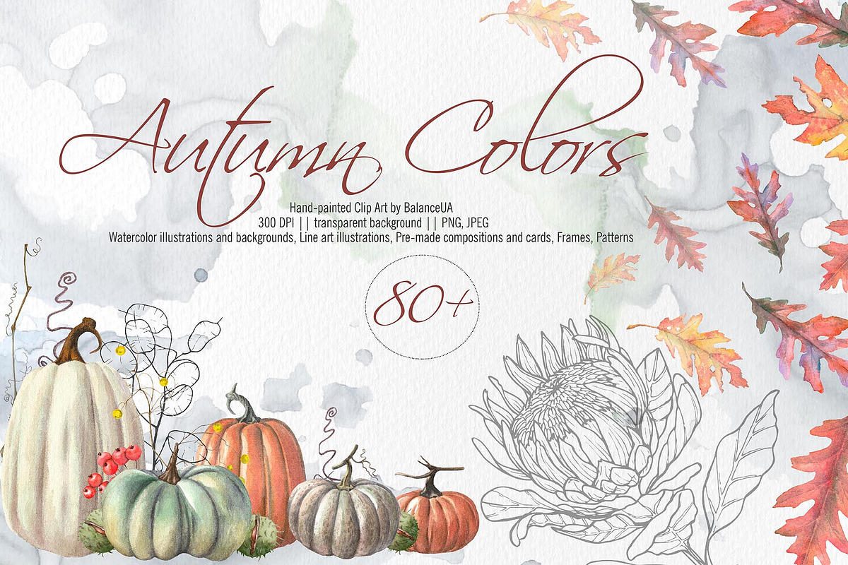 Thanksgiving Watercolor Clipart, an Illustration by BalanceUA (Photo 1 of 13)