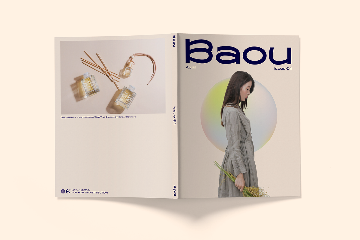 Baou Modern Sans + Logos, a Sans Serif Font by That That Creative (Photo 16 of 20)