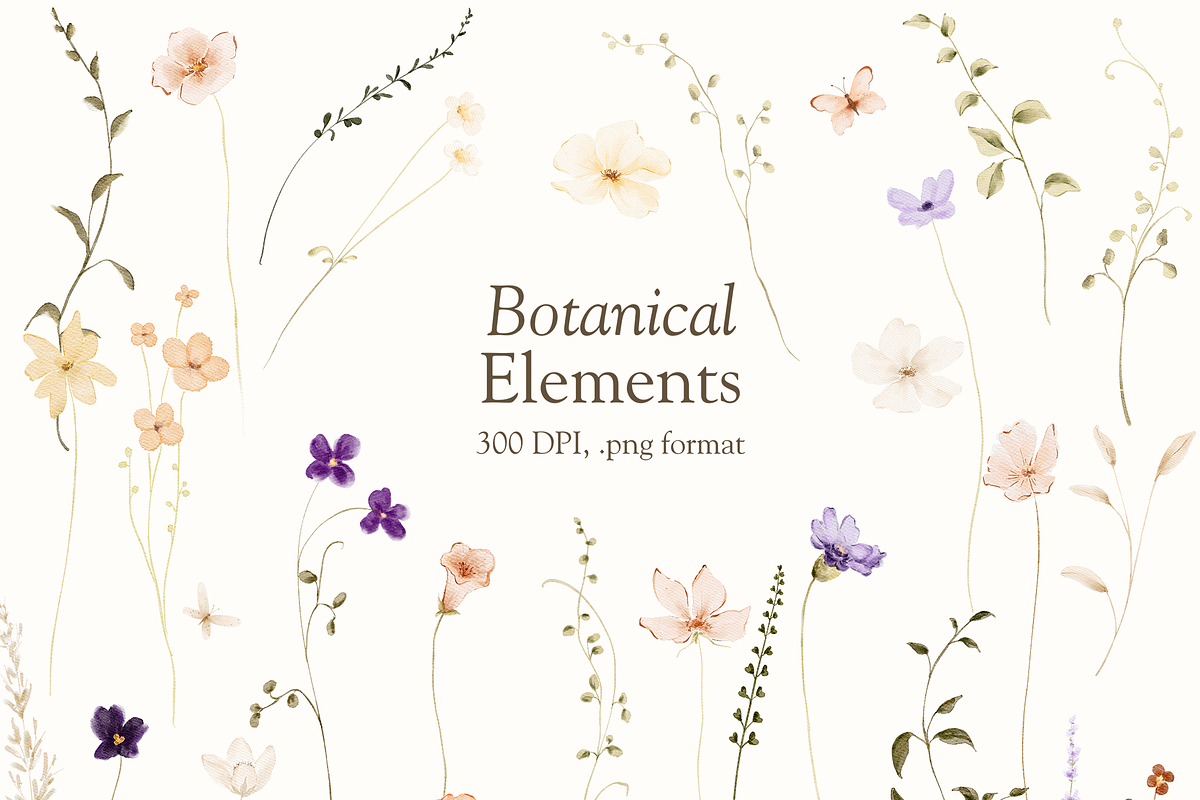Delicate Watercolor Wildflowers, a Decorative Illustration by Altea Design Studio (Photo 9 of 12)