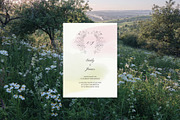 Meadow Mist: Pencil Floral Sketches, a Decorative Illustration by Yuliia Lashevska (Thumbnail 5 of 12)