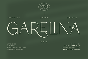 Garelina | Modern Serif Font