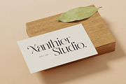 Abask - Modern Ligatures Font, a Serif Font by Nirmana Visual (Thumbnail 10 of 12)
