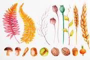Fall collection. Watercolor., a Decorative Illustration by AlexGreenArt (Thumbnail 7 of 11)