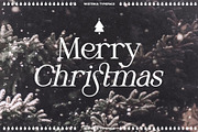 Wistenia Typeface, a Serif Font by Ivan Rosenberg (Thumbnail 13 of 18)