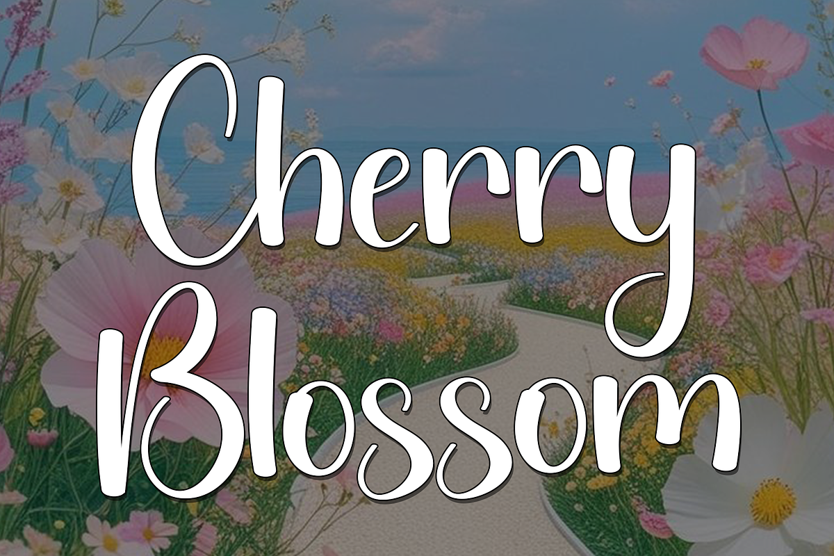 Ballerina, a Handwritten Font by InermediaSTUDIO (Photo 4 of 8)