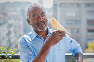 Elderly man holding yellow bird on balcony, a Person Photo by DanFLCreativo