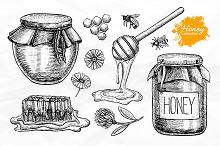 Honey Set. Hand Drawn Illustrations