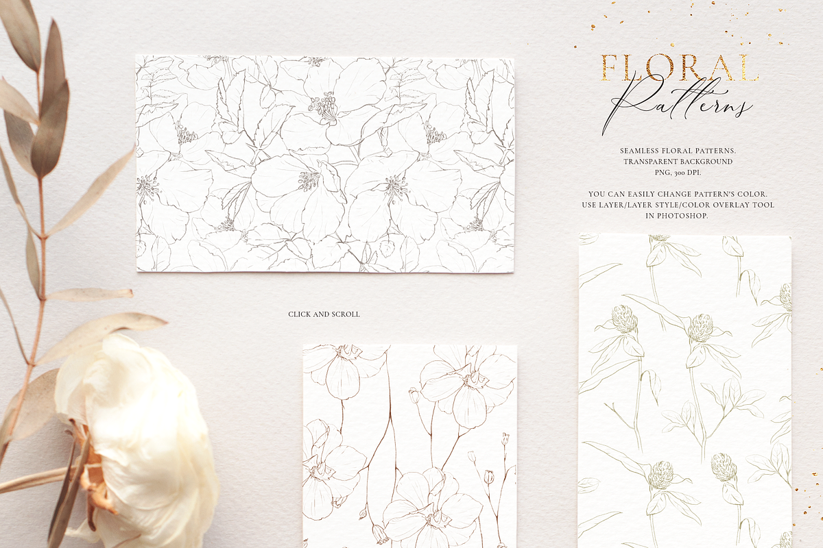 Wildflowers-Pencil sketch collection, a Decorative Illustration by Pamyatka Shop (Photo 10 of 13)
