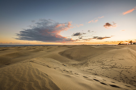 Evening in the desert