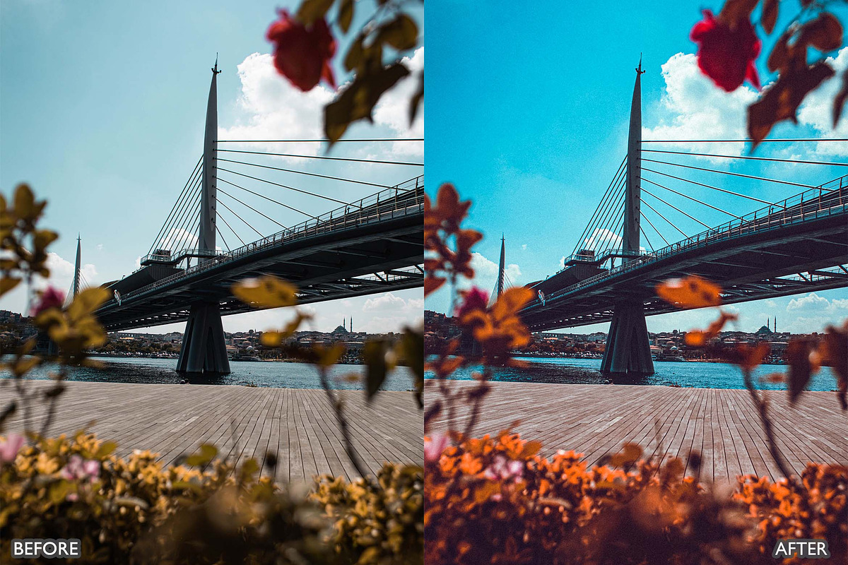 Landscape Nature Lightroom Preset, a Preset Add-On by AAA Presets (Photo 9 of 18)