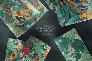 Tropical Patterns And Frames