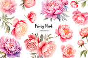 Watercolor peony clipart 21 PNG, an Object Illustration by Art and Funny (Thumbnail 1 of 3)