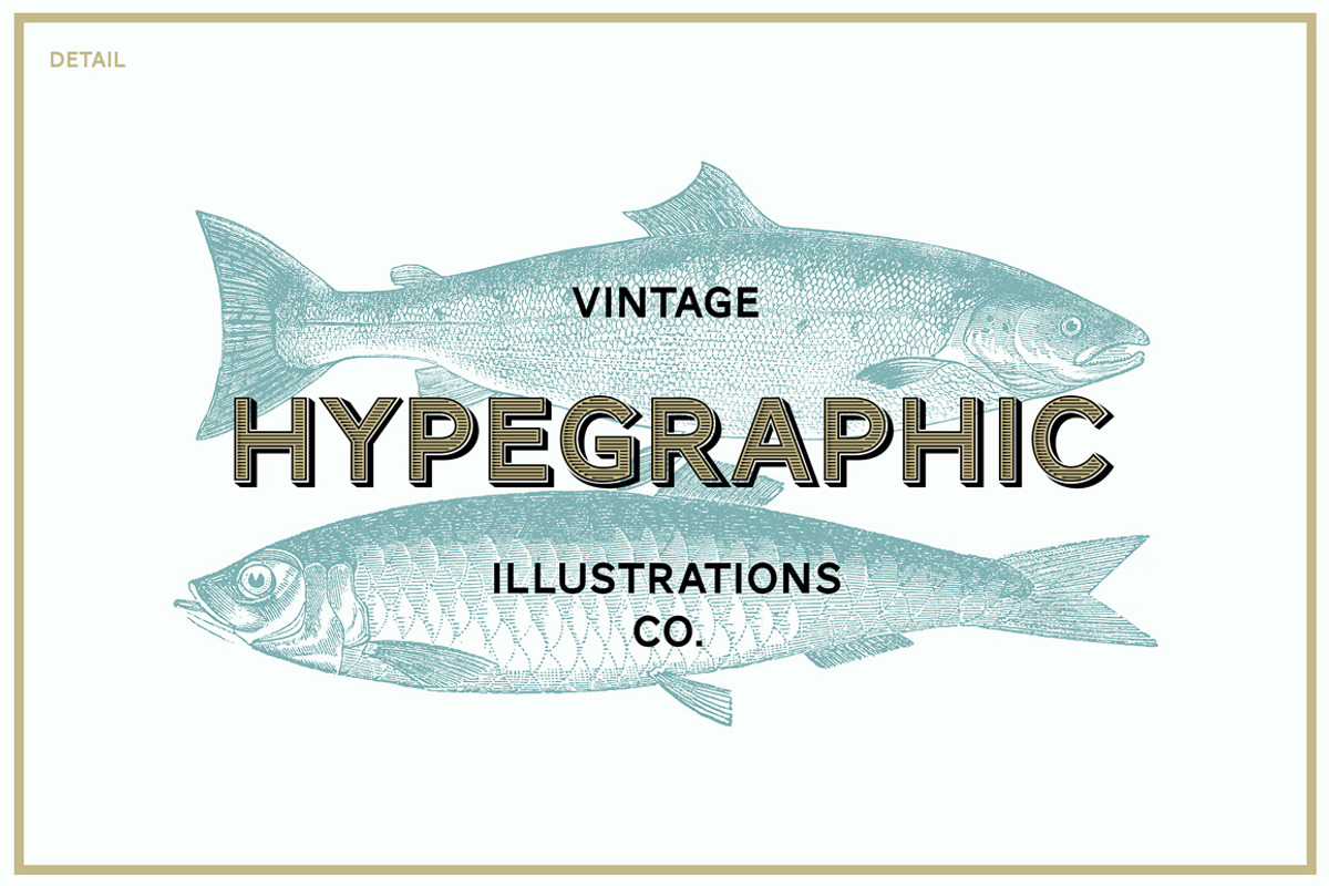 Nautical Vintage Illustrations, an Animal Illustration by hypegraphic (Photo 6 of 6)