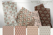 Botanical ornaments Art Nouveau, a Pattern Graphic by Collection by VY (Thumbnail 9 of 9)