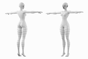 Stylized Female 02 Fine Shape Mesh