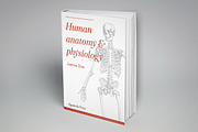 Anatomy Engravings Set, an Object Graphic by Graphic Goods (Thumbnail 6 of 7)