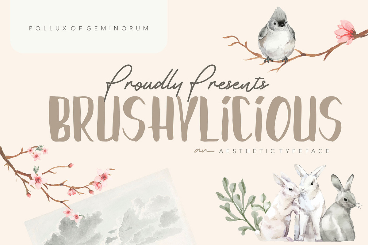 Brushylicious - Aesthetic Brush Font, a Font by Pollux of Geminorum (Photo 1 of 12)