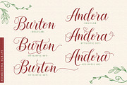 Hometona Script, a Script Font by Lettersams (Thumbnail 5 of 10)