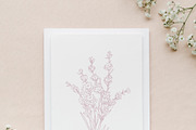 Lavender Line Art, a Decorative Illustration by CaraulanStore (Thumbnail 5 of 8)