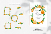 Watercolor - Orange and Mango, a Decorative Illustration by bylin_illustration (Thumbnail 4 of 6)