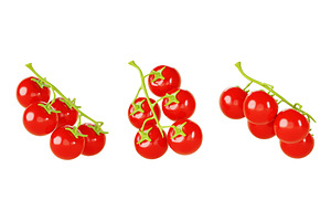 3d Set Of Tomato Cherry On Branch In