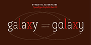 Rogliano Pro, a Slab Serif Font by Untype (Thumbnail 11 of 26)