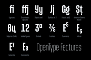 Entropia — condensed geometric sans, a Sans Serif Font by Slava Antipov (Thumbnail 9 of 14)