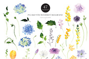 Watercolor Flower - Cheerful Set, an Illustration by Beigetime (Thumbnail 2 of 11)
