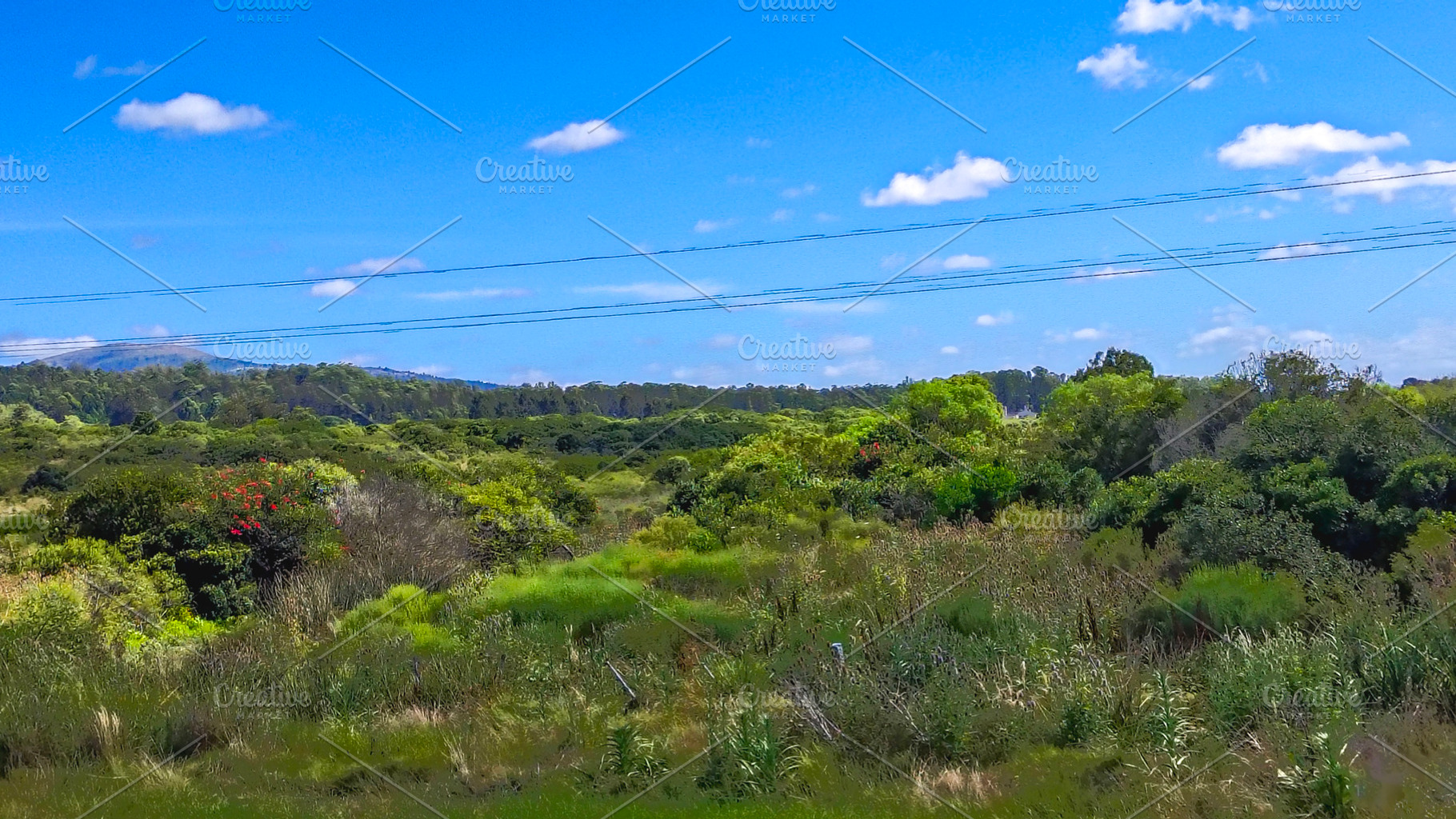 Tranquil countryside under blue sky, a Nature Photo by DanFLCreativo