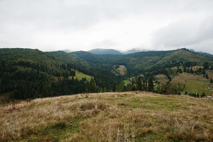Beautiful  summer view at the famous Carpathian summit,  Ukraine, a Wallpaper Photo by AS photostudio
