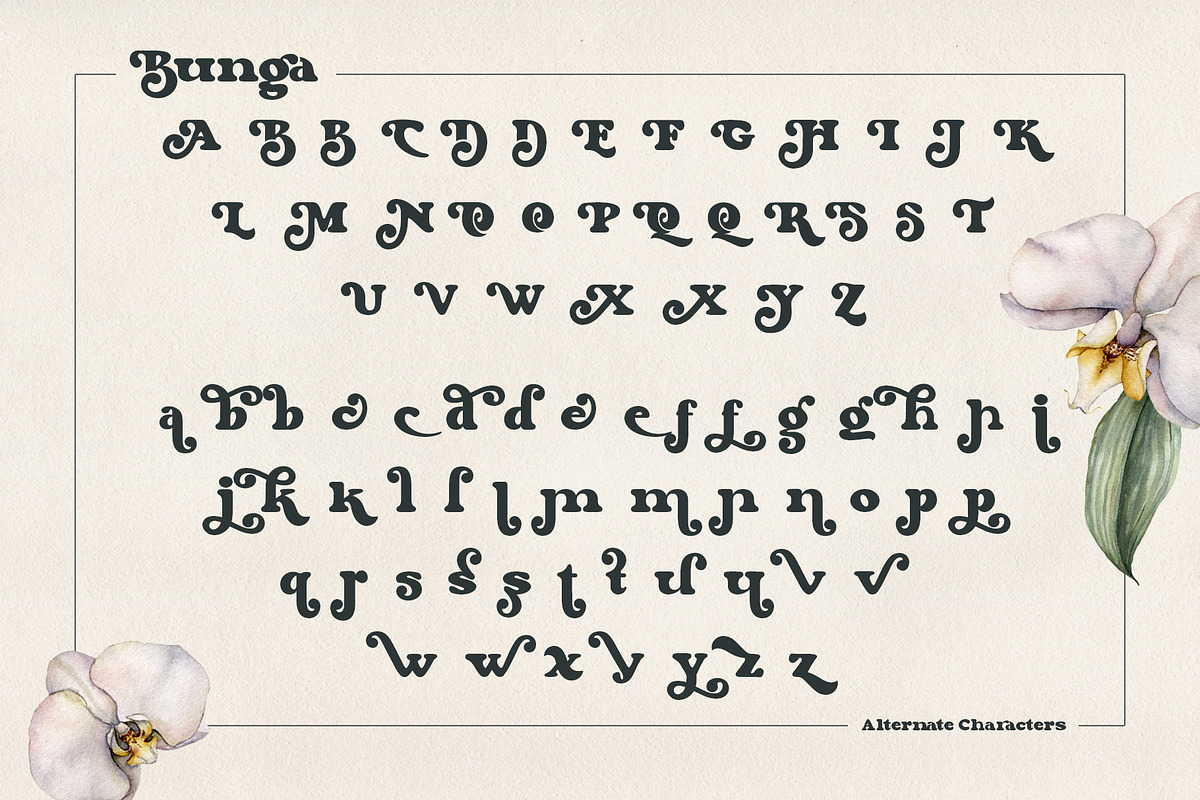 Bunga, a Serif Font by Burntilldead (Photo 7 of 14)