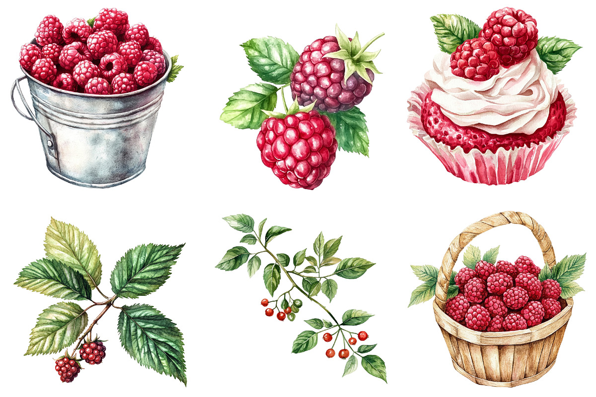 Watercolor Raspberry Clip Art, an Illustration by Watercolor design (Photo 3 of 4)