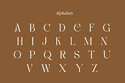 Blacke Brown | Modern Stylish, a Serif Font by Muntab_Art (Thumbnail 10 of 11)