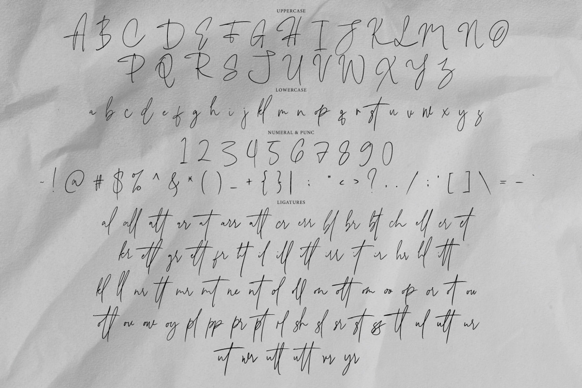 Villonia - Handwritten Signature, a Handwritten Font by tebaltipislab (Photo 7 of 8)