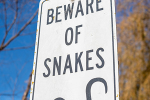 Warning sign about snake danger near Lake Colac, Victoria, Austr, an Animal Photo by GoodGoods