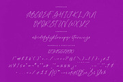 Glistening Silent Modern Stylish, a Script Font by Letterena Studios Script (Thumbnail 13 of 15)