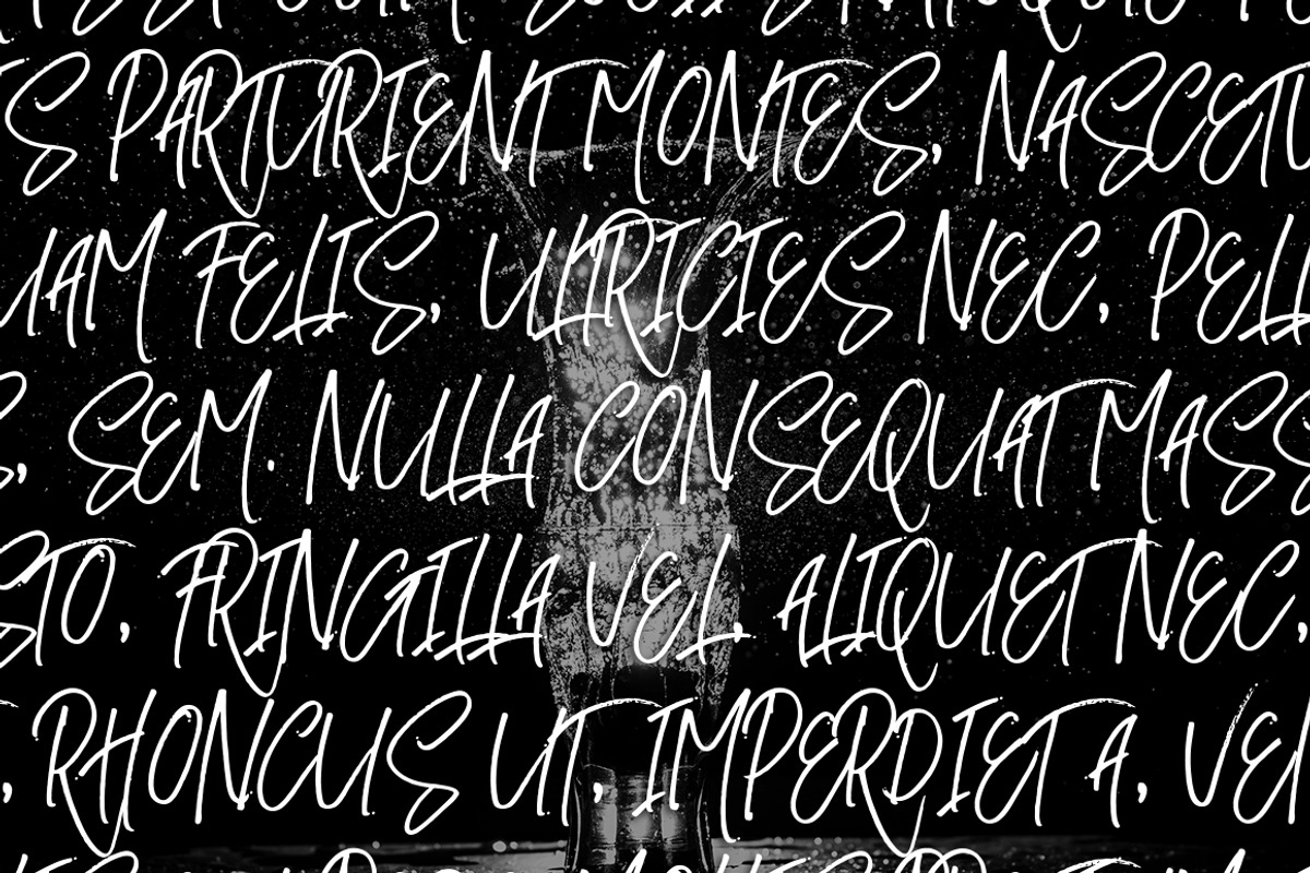 Silver Made Font, a Script Font by Eltypesstudio (Photo 9 of 10)