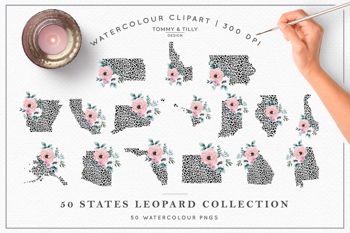 Bestsellers Graphics Bundle, an Animal Illustration by Tommy & Tilly Design (Photo 9 of 21)