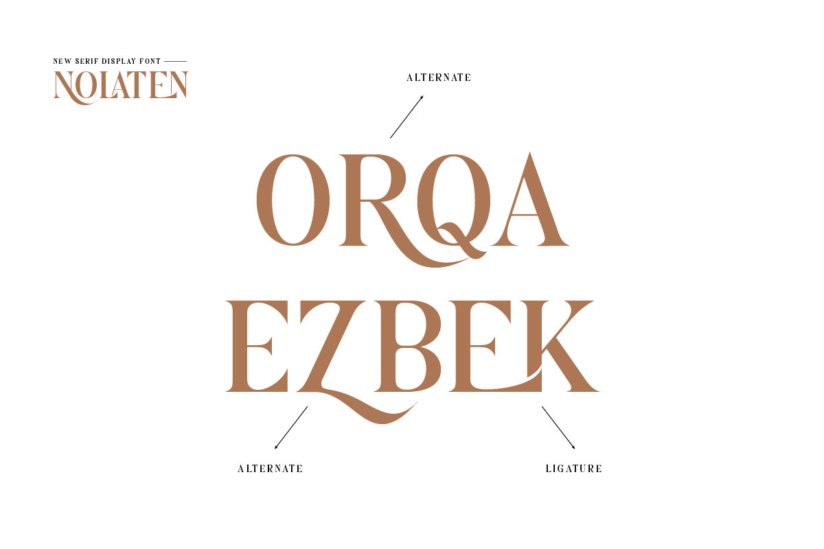 Nolaten - Serif Display Font, a Serif Font by twinstd (Photo 3 of 10)