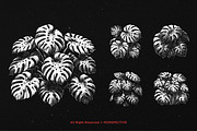 10 Bundle Dark Art Monstera Plant, an Illustration by Morspective (Thumbnail 5 of 7)