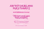 Candylove Playfull brushwritten font, a Symbol Font by SHEILLA (Thumbnail 5 of 6)