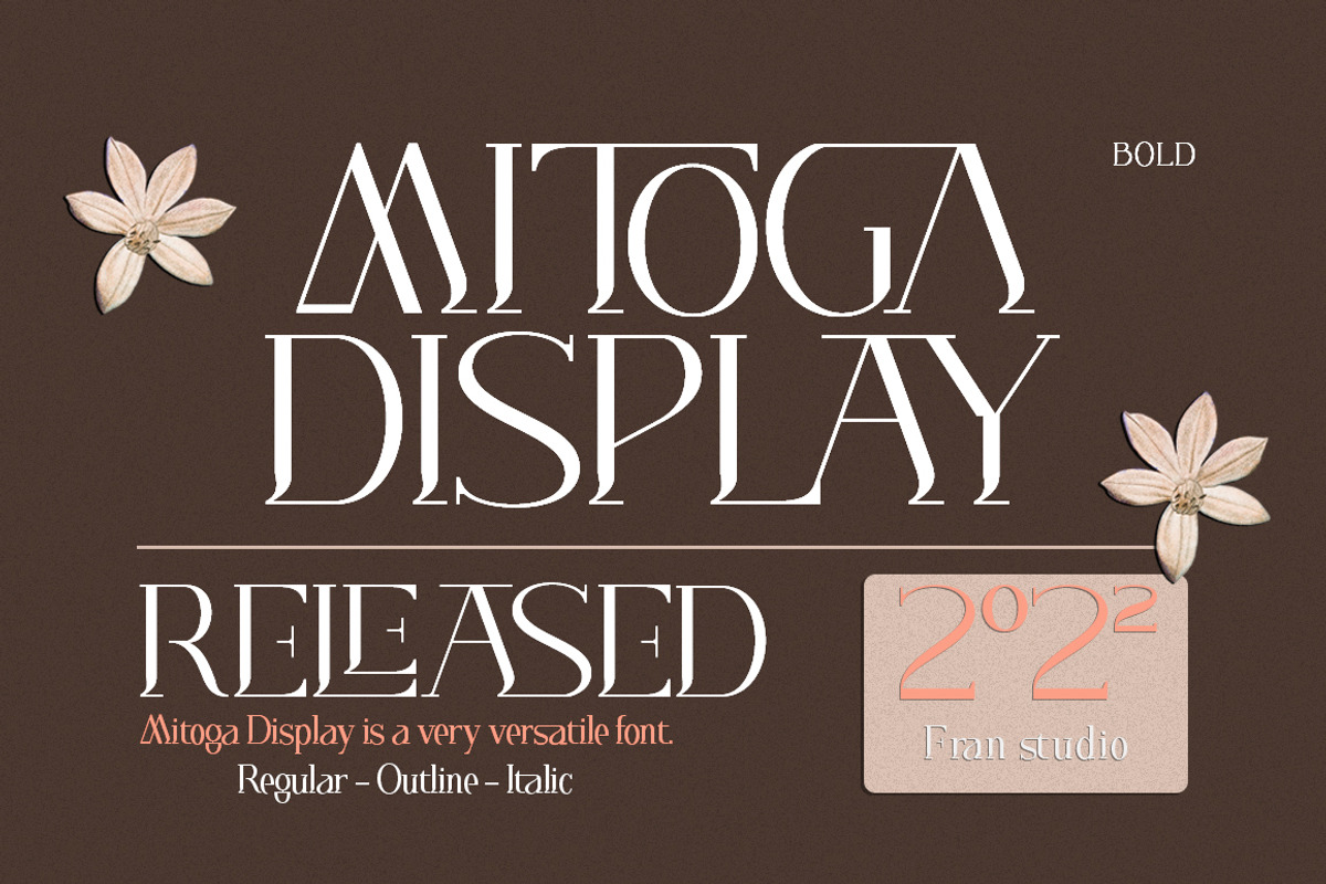 Mitoga Display, a Serif Font by Franstudio (Photo 1 of 15)