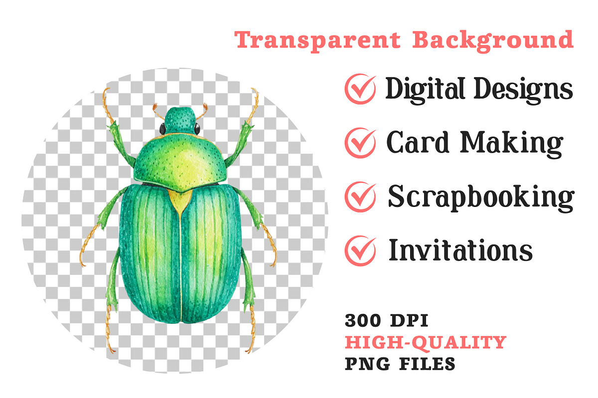 Insects Watercolor Clipart Png, an Illustration by Dream Creation (Photo 7 of 7)