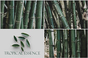 Tropical Essence. Photo bundle, a Wallpaper Graphic by EYWA ART (Thumbnail 6 of 8)