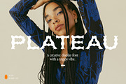 Plateau Font, a Sans Serif Font by Nomad Visuals (Thumbnail 1 of 12)