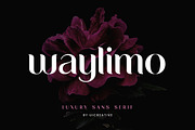 Waylimo Modern Sans Serif Font, a Sans Serif Font by UICreative (Thumbnail 1 of 13)