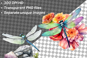 The Dragon Fly Collection Clipart